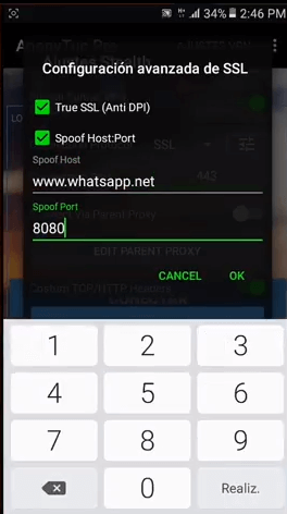 configuracion con vip premiuim 2019