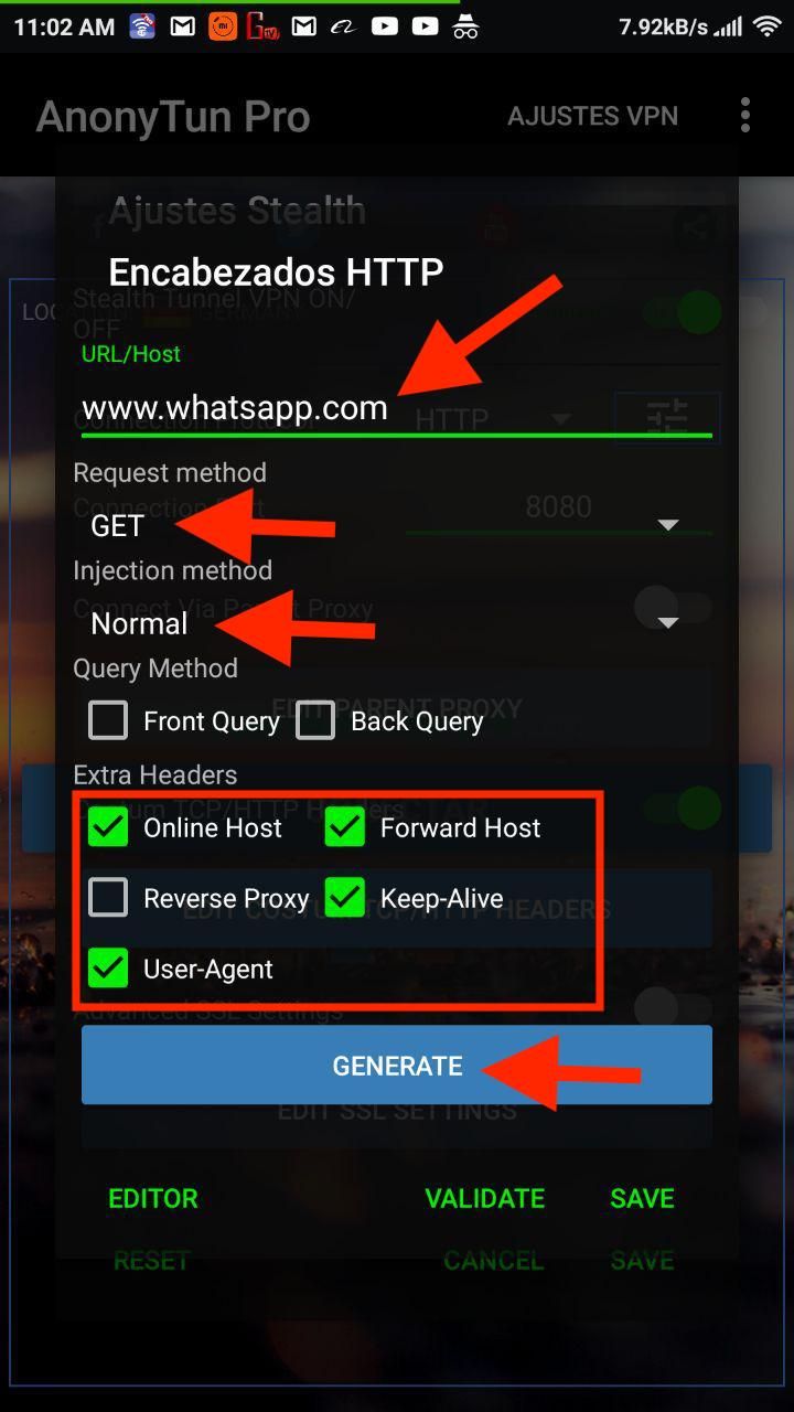 truco personal paraguay netfree anonytun host
