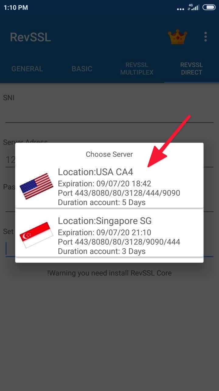 internet gratis RevSSL